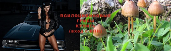 винт Алексин