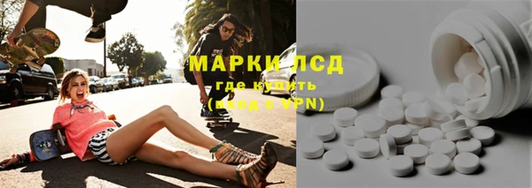 ECSTASY Алзамай
