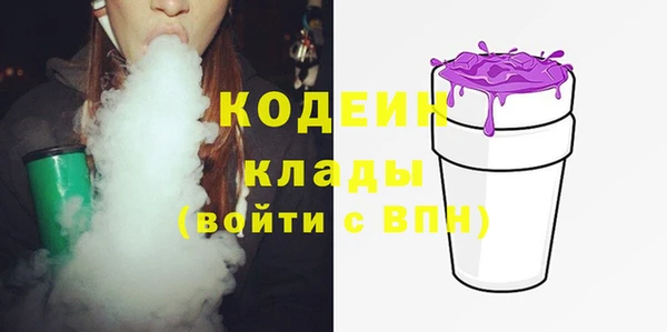 ECSTASY Алзамай