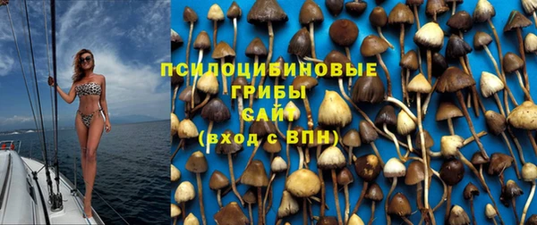 ECSTASY Алзамай