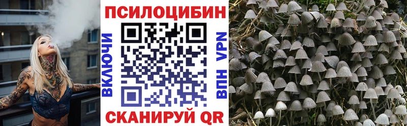 гидра маркетплейс  Темрюк  Галлюциногенные грибы Psilocybe 